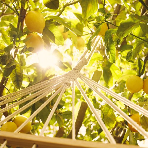 MAISON MARTIN MARGIELA Replica Under the Lemon Trees - Eau de